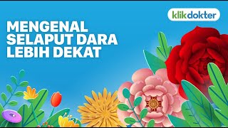 MENGENAL SELAPUT DARA LEBIH DEKAT