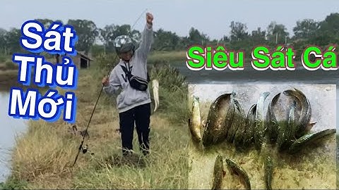 Câu cá lóc | câu buổi sáng cá rất sung | rong chơi miền tây #lurecaloc #fishing