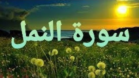سورة النمل💛 تلأوة هادئة تريح الأعصاب💛 سبحان من رزقه هذا الصوت 💛🎧
