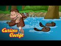 George Plays with Beavers 🐵Curious George 🐵Compilation 🐵Kids Movies 🐵Videos for Kids