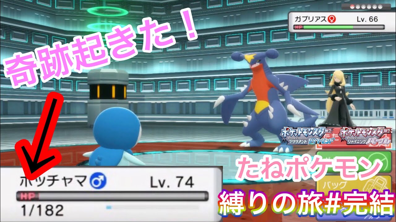 ダイパリメイク 進化禁止のたねポケモン縛りでプレイした結果 完結 Youtube