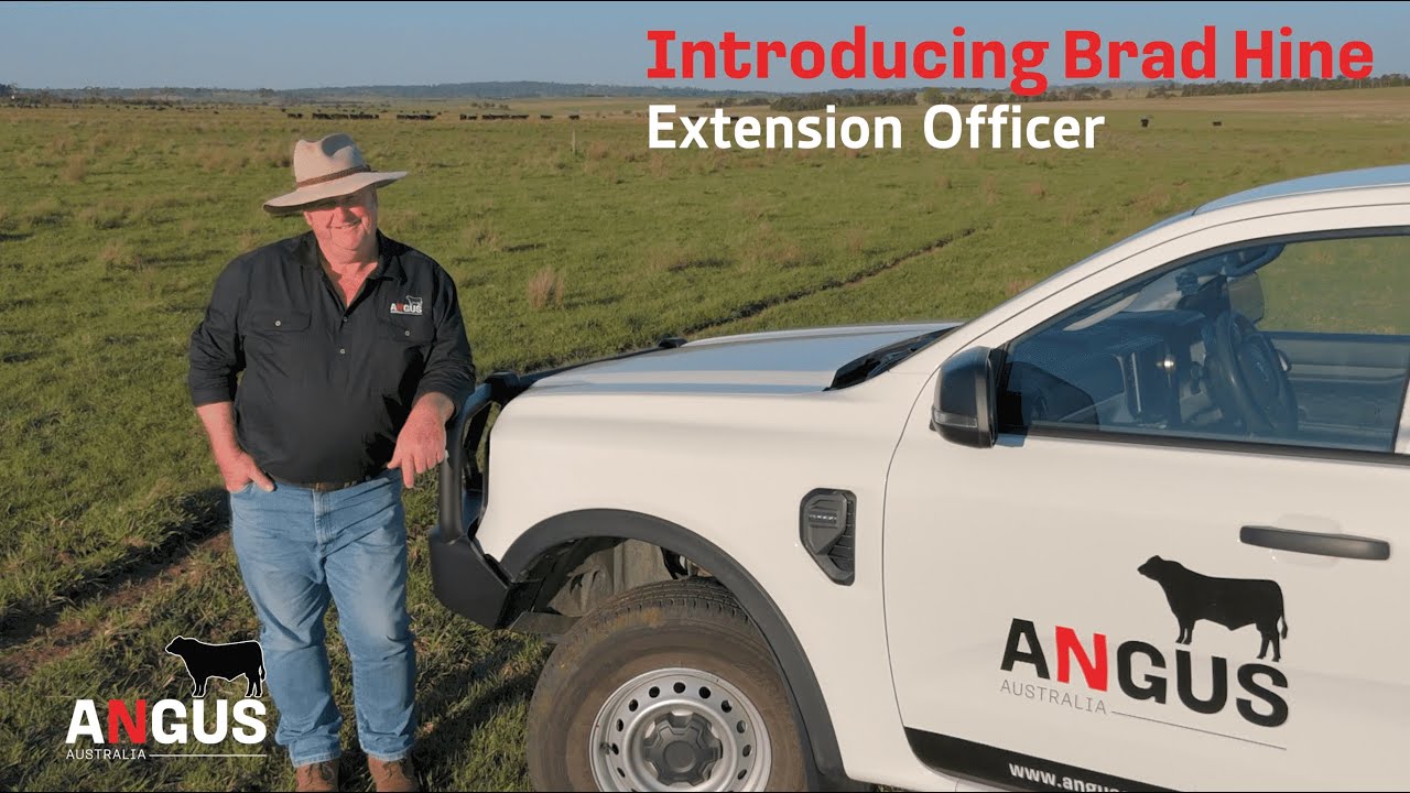 Meet Brad Hine – Angus Australia’s New Extension Officer