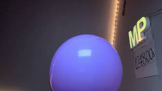 Balloon episode 🎈124899