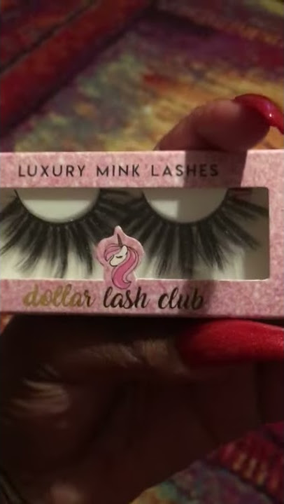 Dollar Lash Club  Review (trash)