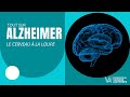 Mcanismes et secrets de la maladie dalzheimer  le cerveau  la loupe