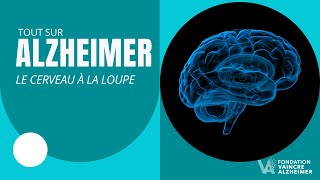 Mécanismes et secrets de la maladie d'Alzheimer : le cerveau à la loupe