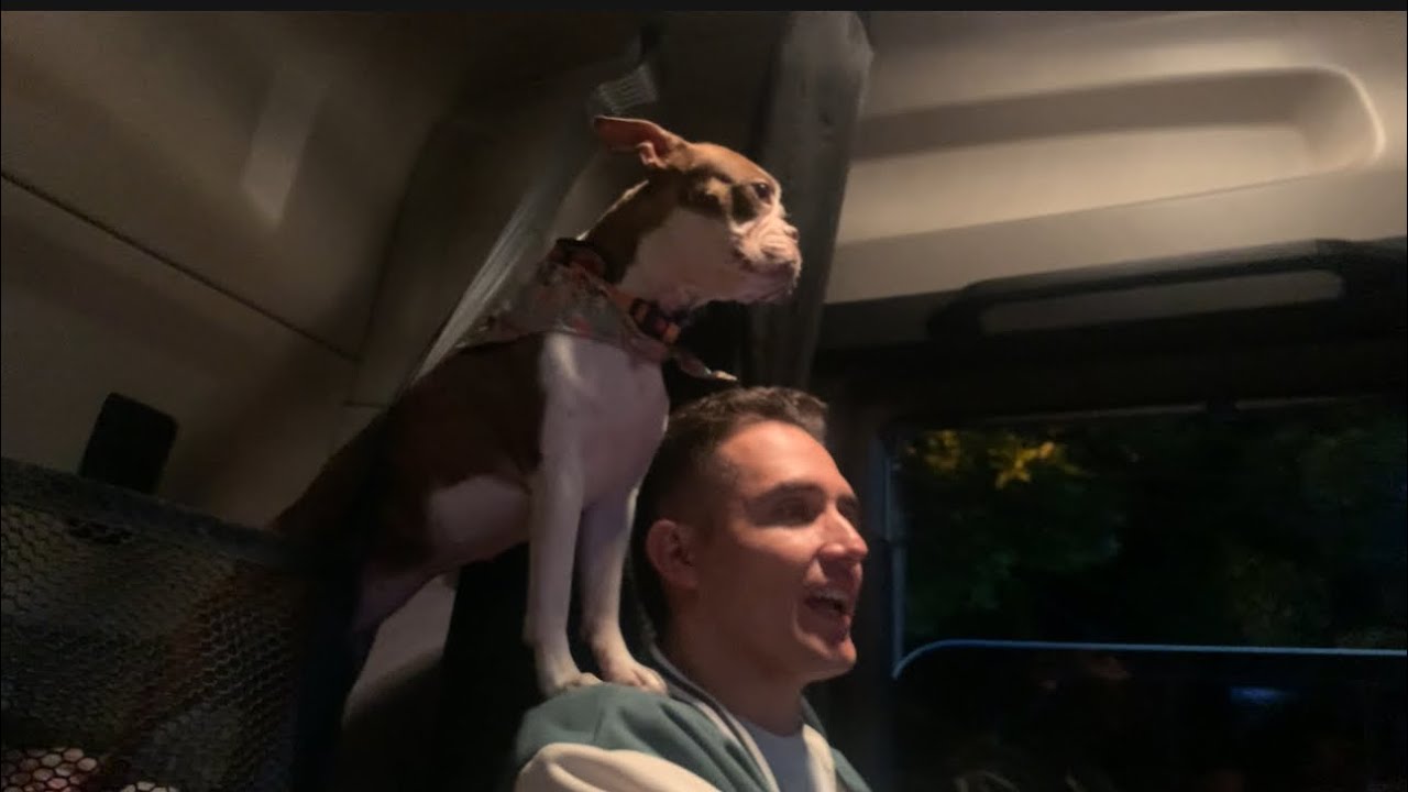 Coronamos patrón! Por información  errada casi nos devuelven 😒ruta de Medellín a Manizales 