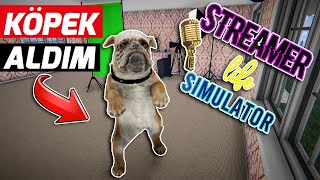 KÖPEK ALDIM // EN KALİTELİ YAYINI YAPIYORUZ | STREAMER LIFE SIMULATOR !!