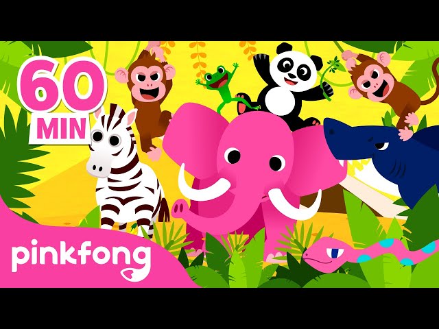 Belajar Ciri-ciri dan Klassifikasi Binatang | Gajah & Hewan lain-lain | Pinkfong Baby Shark class=