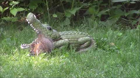 Audio Visual Catnip July 2017