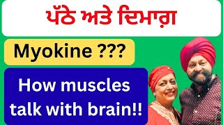 691 - Myokine? How muscles talk with brain! ਪੱਠੇ ਅਤੇ ਦਿਮਾਗ਼ !!