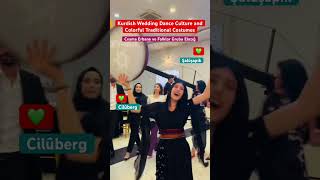 Kurdish Wedding Dances Folklore Song Music Culture And Colorful Traditional Clothing