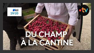 Maraîchage : Du Champ À La Cantine Resimi