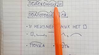 Как разобрать слово по составу - объясняю, как правильно сделать морфемный разбор любого слова