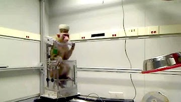 Monkey Controls A Wheelchair With Its Brain
