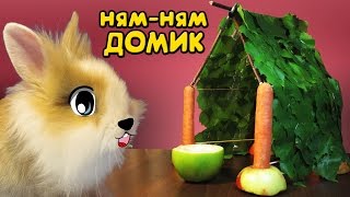 КРОЛИК БАФФИ и ВКУСНЫЙ ДОМ! ДЕЛАЕМ ДОМИК СВОИМИ РУКАМИ! DIY на русском 2017 ! МИЛАШКА БАФФИ