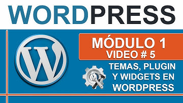 Que son los Temas, Plugins y Widgets en Wordpress