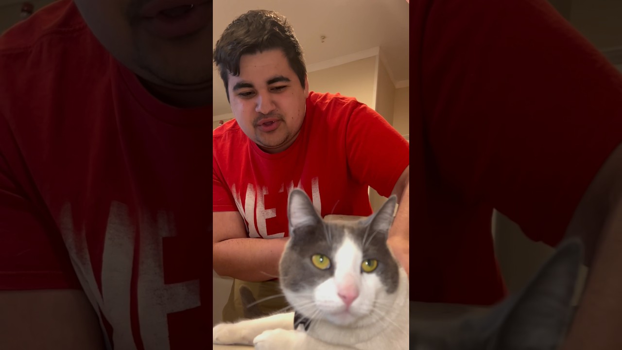 When You re Allergic To Cats viral YouTube when-you-re-allergic-to-cats-viral-youtube