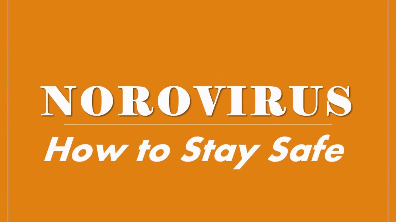 online marketing app Norovirus: How to Stay Safe