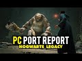 Hogwarts Legacy PC Port Report