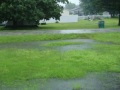 Wayne Street Flooding