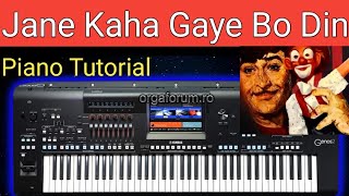 Jane Kahan Gaye Bo Din // Piano Tutorial // With Complete Tutorial