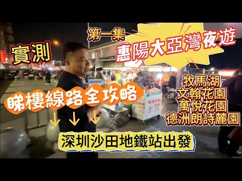 實測｜惠陽大亞灣夜遊｜睇樓線路全攻略｜深圳沙田地鐵站出發｜牧馬湖 文翰花園 萬悅花園 德洲朗詩麓園｜#惠州房產 #惠州 #惠州惠陽 #沙田地鐵 #大亞灣 #臨深樓盤 #筍盤 #惠家置業