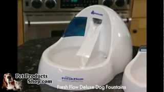 Verwoesting regen afstand PetProductsShop - Fresh Flow Deluxe Dog Fountains - YouTube