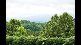 10 Years of Healthy Places NC