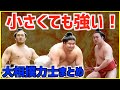 足取り！反り技！ダイビング！大きい力士に果敢に立ち向かう小兵力士まとめ