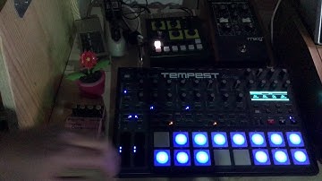 DSI Tempest Tunes for #Novembeat