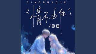 情不由你 (DJ九零版)