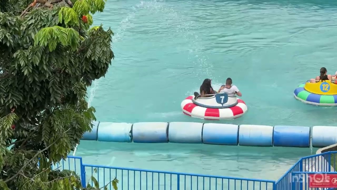 Un dia entre cafetales 