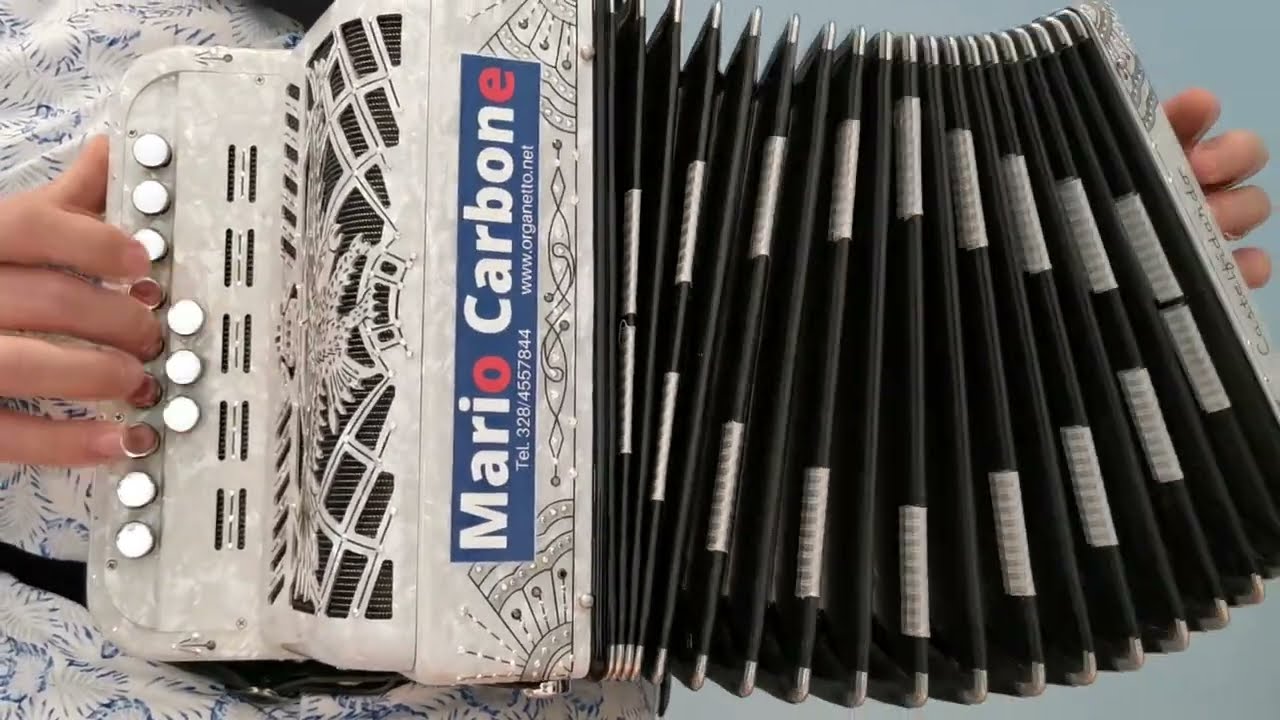 2 e 4 Bassi -  SORA ASSUNTA - daje de tacco daje de punta - brano  -organetto