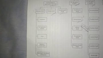 classification of audit