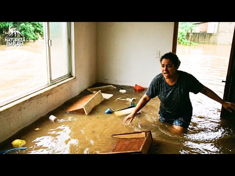 Video TERROR NO RJ: Enchente DEVASTADORA atinge Rio Claro e invade casas!