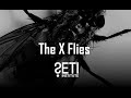 Big Picture Science: The X Flies - Aug 24, 2020