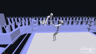 DAMN Endorphin Wrestling: Mid-Air Codebreaker
