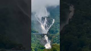 Dudhsagar #dudhsagar #travel #tourism #goa #vlogging #vlog #travelvlog #maharashtra #india #bharat