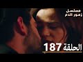 الحلقة 187 مسلسل زهور الدم مدبلج بالعربية  