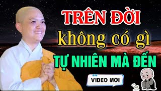 Trên Đời Không Có Gì Tự Nhiên Mà Đến, Tất Cả Đều Do NHÂN QUẢ | SC. Thích Nữ Hương Nhũ