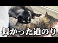 ここに至るまでの長い道のり