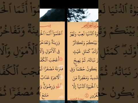 اما الحياه الدنيا كذابه ملعونه شاهد الفيديو