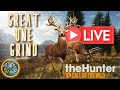 Whitetail are BACK! Great One Grind! TheHunter: Call Of The Wild