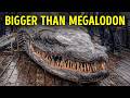 Newly Discovered Sea Reptile Is the Largest Ever