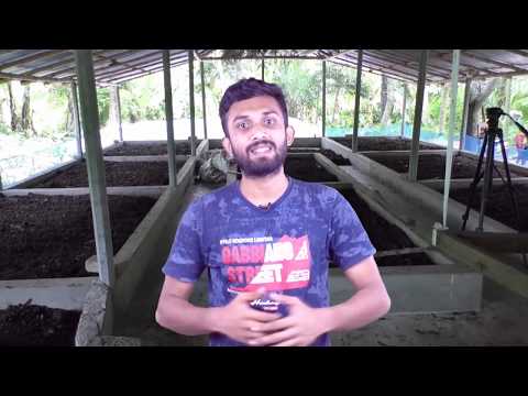 Vermicompost - How to Make Vermicompost Production Business with Low Investment