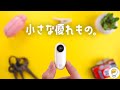 こりゃ楽しい。insta360 GOの特徴と使い方を徹底レビュー！