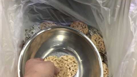 95% Pellet, plus Corn & Millet Test by SYP puffing machine