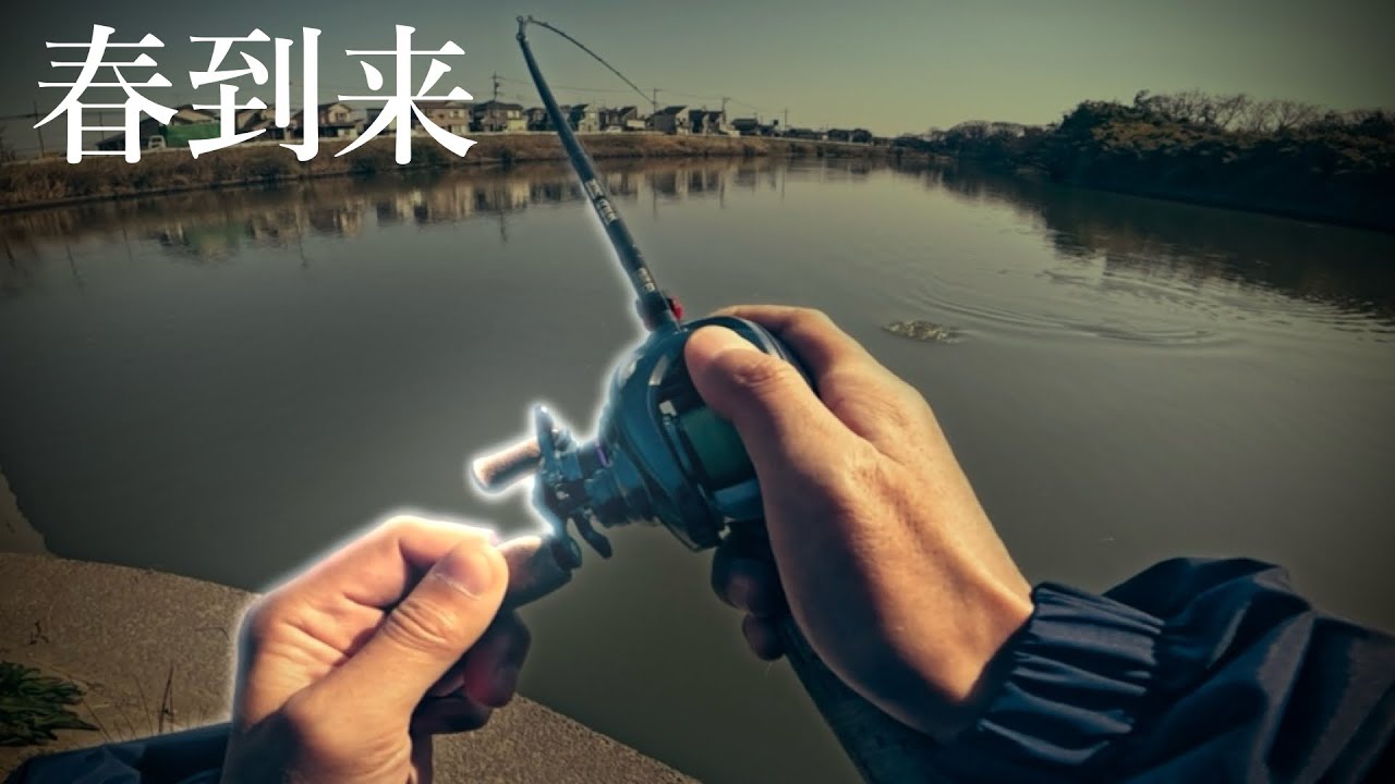 【バス釣り】埼玉の市街地で春を感じる川スモールが釣れてしまう