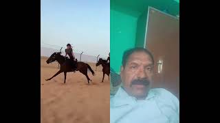 2 girls horse ride nicey
